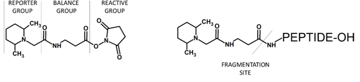 TMTmodification