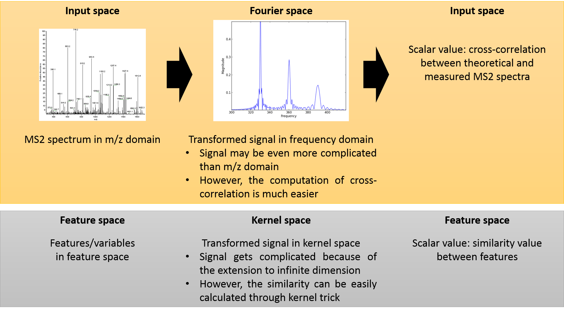 Image of fragmentation